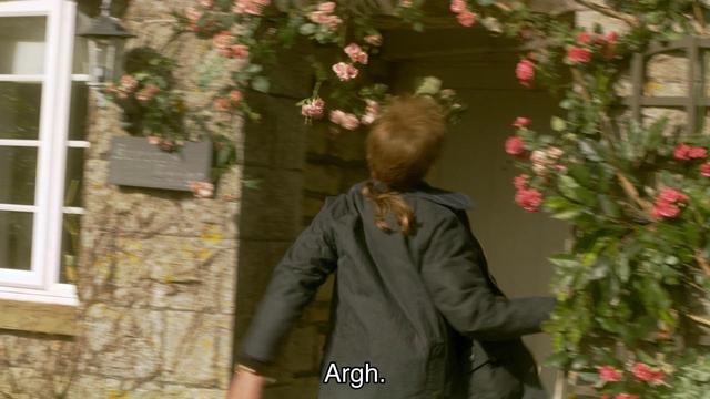 Matt Smith episode. Rory Williams is running into Amy’s house as fast as he can, a nice brick building covered in tasteful overgrown vines and flowers around the front. He’s running into the front door full speed, face mashing into some pink roses hanging down. Caption says “Argh.” Flowers: 1. Rory: 0.