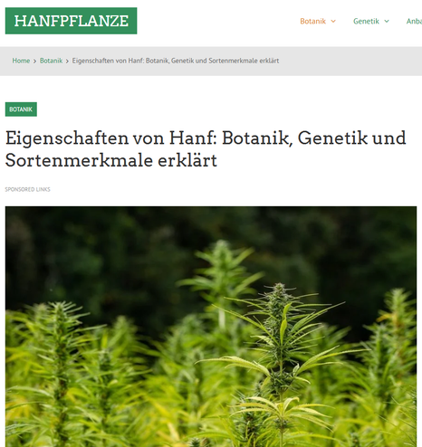 Die Hanfpflanze (Cannabis) ist unglaublich vielfältig. Auch wenn sie botanisch dem Hopfen ähnelt, mit ihren charakteristischen fingerförmigen Blättern und Blüten, offenbart ein genauerer Blick riesige Unterschiede zwischen den einzelnen Sorten. Woran liegt das? Die Antwort liegt in der Genetik und der Anpassung an unterschiedlichste Umgebungen – eine tropische Sativa unterscheidet sich fundamental von einer Ruderalis-Pflanze vom Polarkreis oder einer Indica aus dem Hochgebirge. Dieser Artikel erklärt dir die grundlegenden botanischen Eigenschaften von Hanf und die wichtigsten Merkmale der verschiedenen Hauptcannabissorten.

Botanische Grundlagen: Was ist Hanf (Cannabis)? 

https://hanfpflanze.org/botanik/eigenschaften