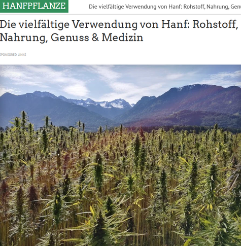 Artikel mit stimmungsvollem Foto eines großen Cannabisfeldes, mit einem Gebirge, im Licht eines leicht bewölkten blauen Himmels, im Hintergrund.

Es gibt wohl kaum eine andere Pflanze auf der Welt, die so vielseitig einsetzbar ist wie Hanf. Ob als nachhaltiger Faserlieferant für Industrie und Handwerk, als nahrhaftes Superfood, als potenzielles Heilmittel oder als Genussmittel zur Entspannung und Inspiration – Hanf ist ein echtes Multitalent. Umgangssprachlich unterscheiden wir oft zwischen Nutzhanf (für Fasern und Lebensmittel) und Cannabis (für medizinische oder Genusszwecke), obwohl es sich botanisch um dieselbe Pflanzenart handelt: Cannabis sativa L.. Je nach Züchtung und Verwendungszweck sind die daraus gewonnenen Produkte jedoch grundverschieden.

https://hanfpflanze.org/botanik/verwendung