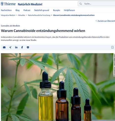 Artikel mit Bild kleiner Medizinfläschlein vor Cannabispflanzen und Text.

Cannabis als Medizin
Warum Cannabinoide entzündungshemmend wirken
Insbesondere Cannabidiol aktiviert ein bestimmtes Enzym, das die Produktion von entzündungslösenden Botenstoffen in den Immunzellen anregt, so eine neue Studie.

https://natuerlich.thieme.de/aktuelles/aus-der-forschung/detail/warum-cannabinoide-entzuendungshemmend-wirken-1345