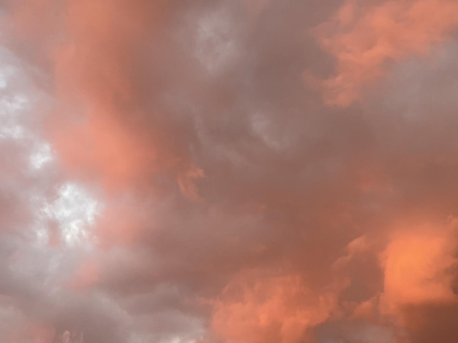 Sunset, facing east, with pink and white clouds in soft blue sky