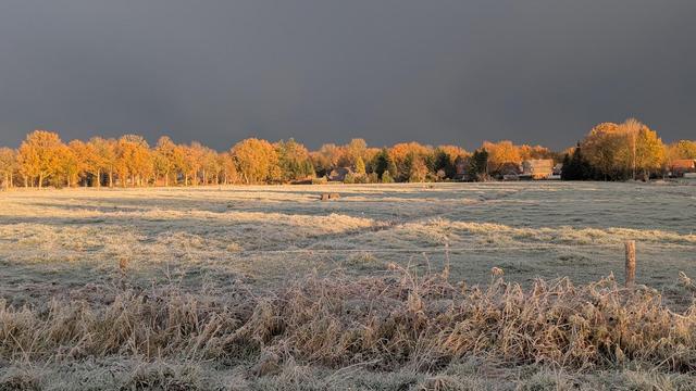 Blick in Richtung Norden - der Himmel sieht aus, als wäre er mit Schnee beladen