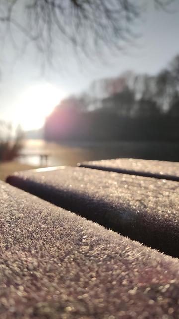 Frost-Kristalle auf einer braunen Bank. Im Hintergrund ein See und die Morgensonne.
