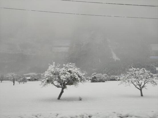 Landscape in the snow, a tree and mountain in distance, all white