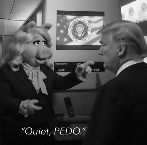 Trump und Miss Piggy in der Air Force One 

Miss Piggy deutet mit dem Zeigefinger auf Trump und sagt : "Quiet, PEDO."