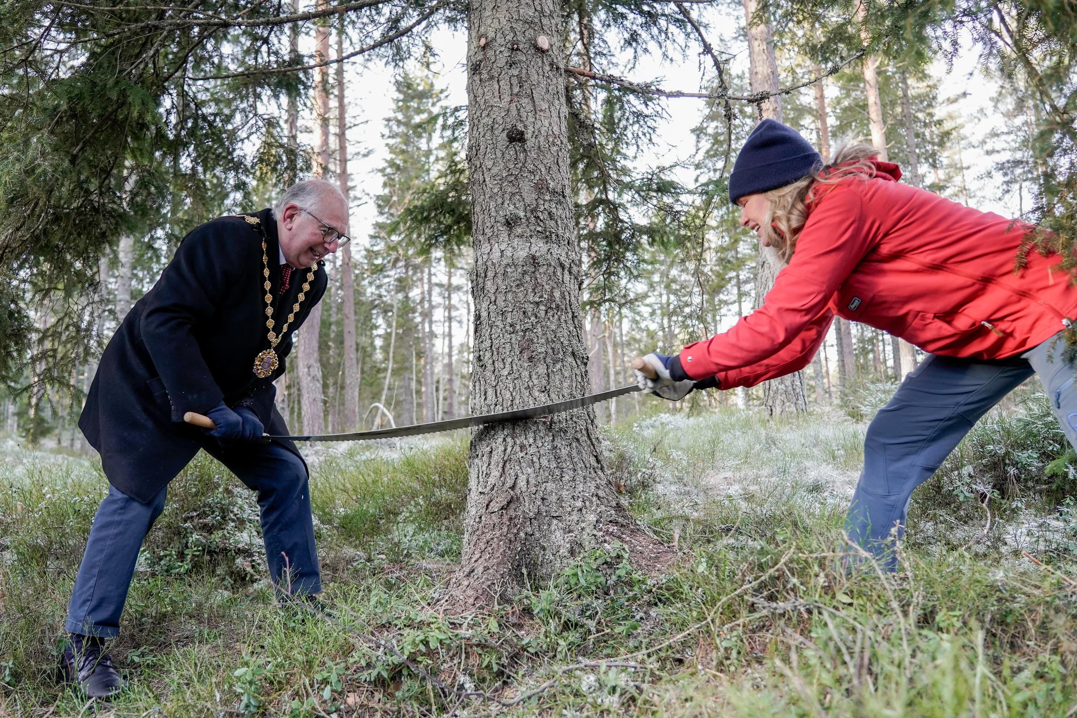 The city’s mayor, Anne Lindboe, and the lord mayor of Westminster, Paul Dimoldenberg, cut down the 2025 Christmas tree for London.
