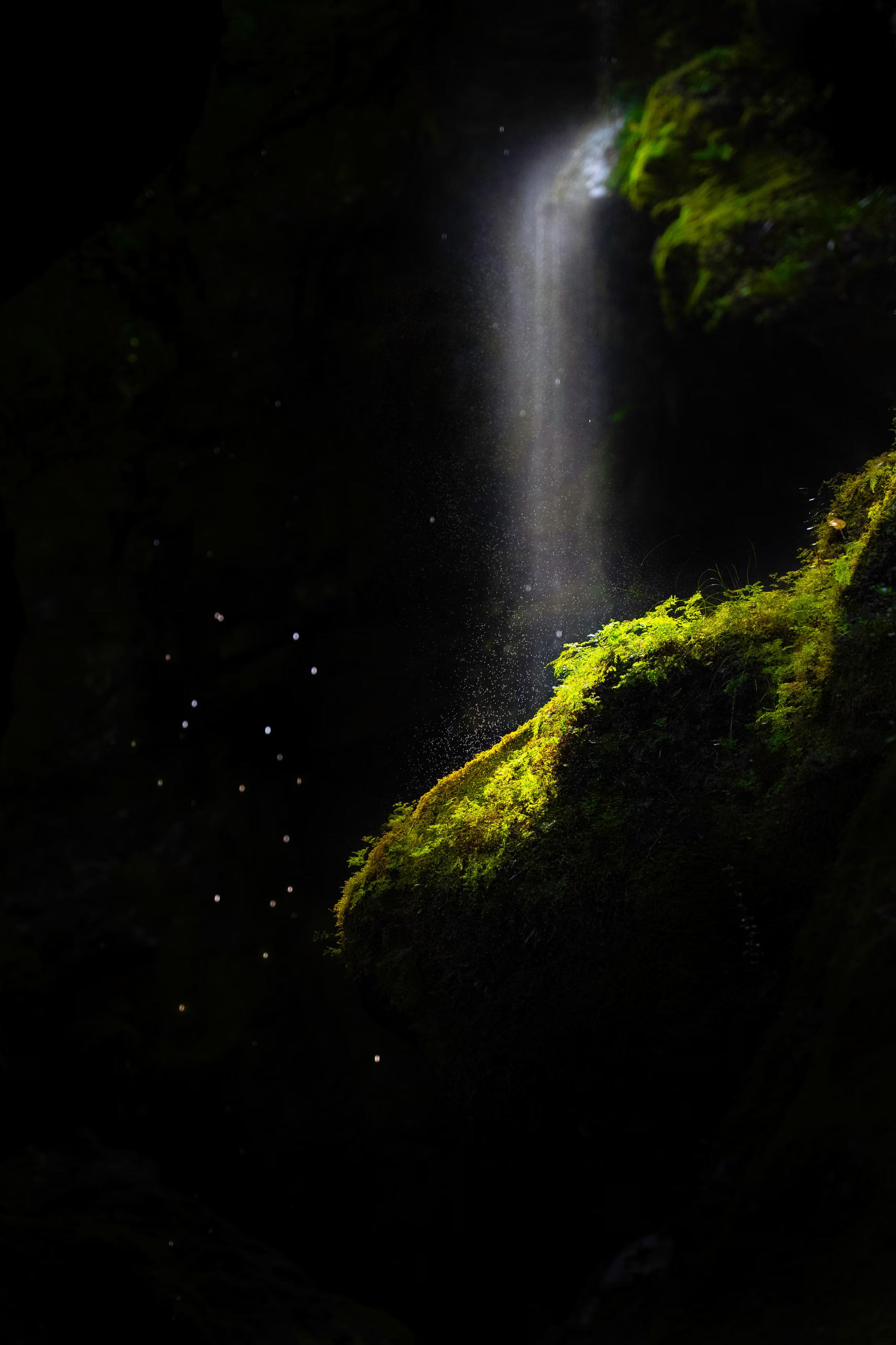 Moss highlighted in front of a small waterfall in a dark canyon.