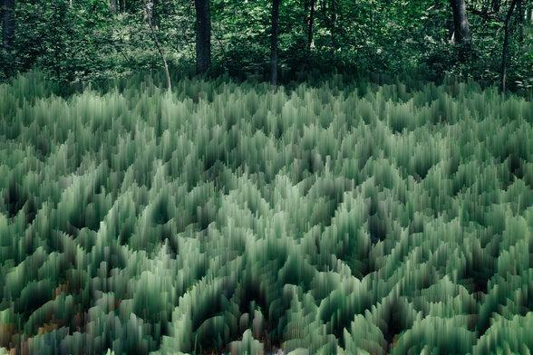 Pixel sorted image of a forest blanketed by ferns whose depiction has been glitched via pixel sorting