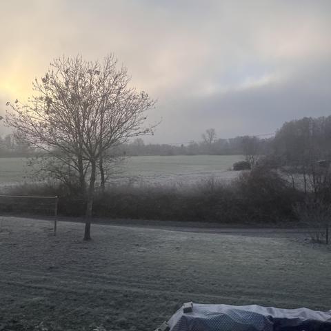 Winterliche Landschaft mit Bäumen 
