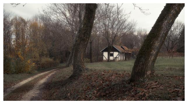 An autumn scene of a rural whitewashed cottage and a path leading to it, surrounded by trees