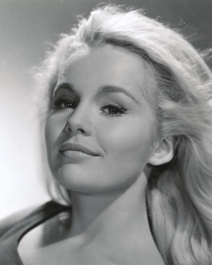 𝐓𝐮𝐞𝐬𝐝𝐚𝐲 𝐖𝐞𝐥𝐝