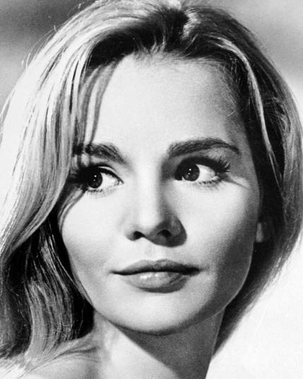 𝐓𝐮𝐞𝐬𝐝𝐚𝐲 𝐖𝐞𝐥𝐝