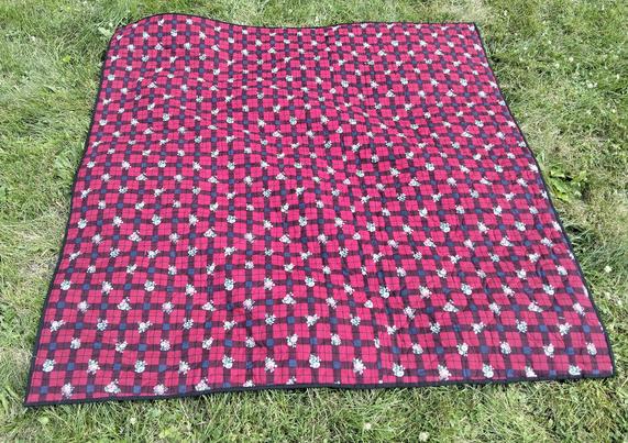 the reverse side of the quilt, it is red with horizontal and vertical bars of dark blue with small white floral shapes on every other bar 