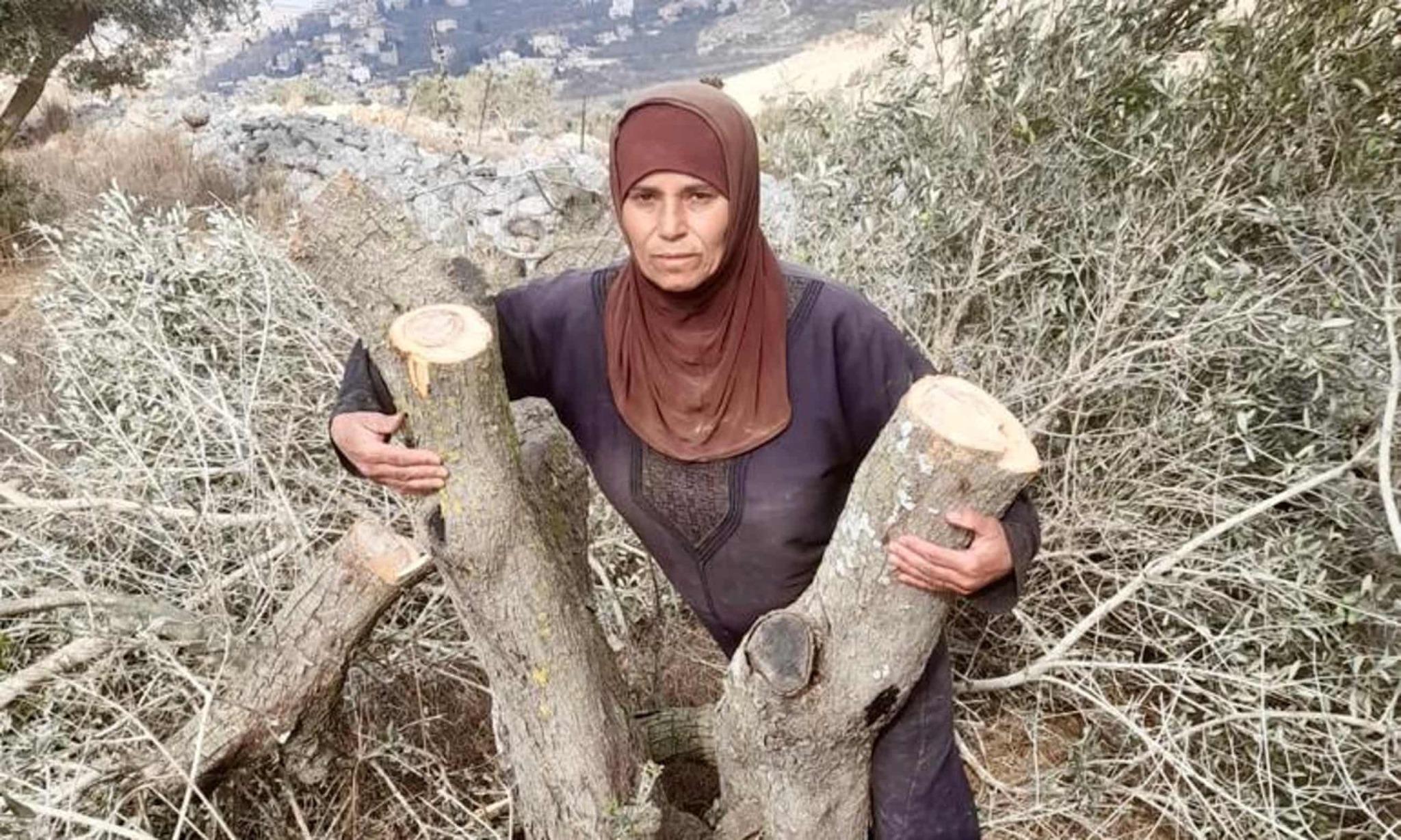 A Palestinian woman embracing cut down olive trees.