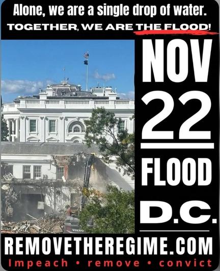 Protest promotion with a photo of the East Wing being demolished
"Together we are the flood
NOVEMBER 22 FLOOD D. C.
removetheregime.com
Remove Impeach Convict"