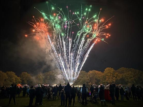 A crowd of people standing on grass at night watching colourful fireworks bursting high above the treeline.