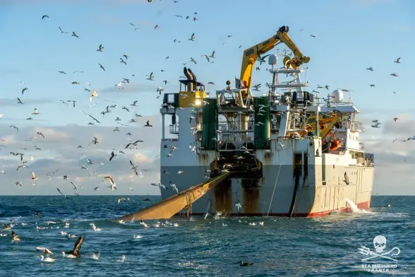 Un navire-usine photographié par l'ONG Sea Shepherd.