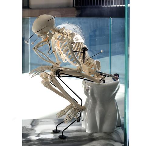 A skeleton perched on what at first sight is a toilet, but actually a slightly voluptuous stand, in a glass case or enclosure. Many pieces of porcelain or other ceramics are demonstrated as useful - we have the technology, we can rebuild them. There are some metal rods that support the whole contraption in place.