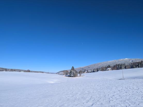 Paysage vallonné entièrement enneigé (Haut Jura)
