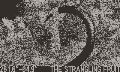 Playdate screenshot of a large hook. Text: coordinates and “THE STRANGLING FRUIT.”
