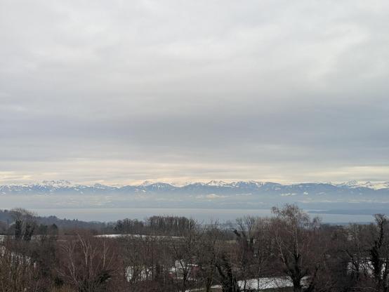Panorama lémanique automnal avec Alpes enneigées vues depuis Le Muids