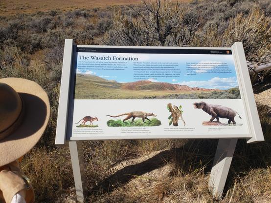 Ranger Sarah learns that red outcrops in the hills here are from the Wasatch Formation and contain very few fossils, those when found are from animals that live along the ancient lake.
— at Fossil Butte National Monument.

