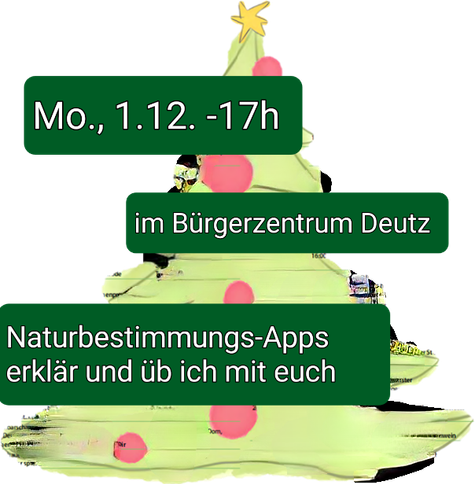 Gemalter Tannenbaum. Schrift:
Mo., 1.12. - 17h
Im Bürgerzentrum Deutz
Naturbestimmungs-Apps erklär und üb ich mit euch