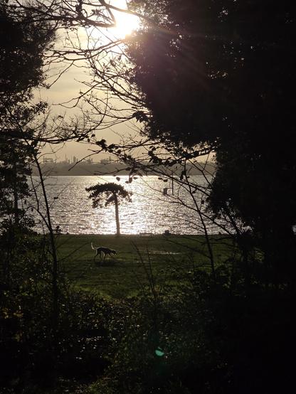 View across Southampton Water from Royal Victoria Country Park 