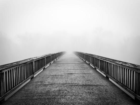 The foot bridge leading to Theodore Roosevelt Island, disappearing into the morning fog. The silhouette of the trees on the island can barely be seen in the fog.