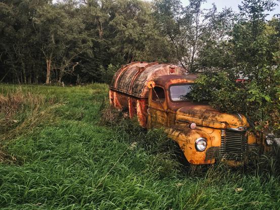 An old, rusty yellow truck with a tanker is partially hidden by tall grass and overgrown bushes, set against a backdrop of dense trees, evoking a sense of abandonment.