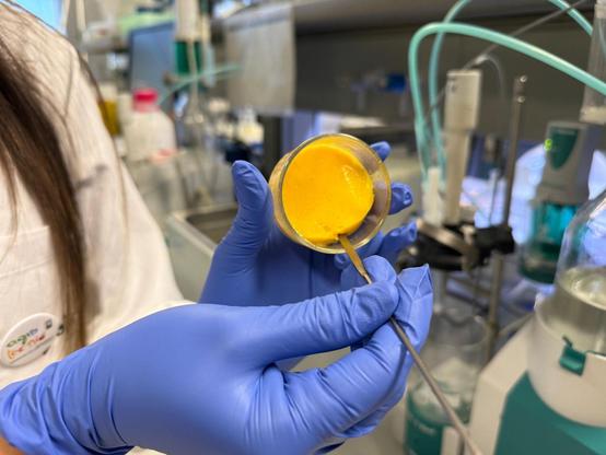 Oleogel amb betacarotè, creat per investigadors de la UDL-Agrotecnio (3Cat/Carla Vilaseca)