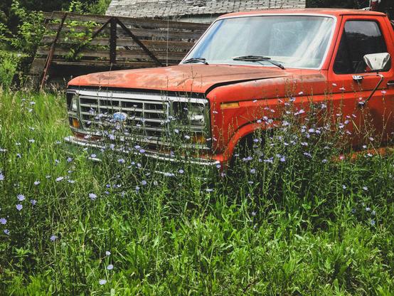 Old red truck overgrown with tall grass and purple wildflowers in a rural area. The scene conveys a feeling of neglect and nature reclaiming.