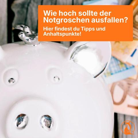 Bewertungen zu alltagsfuchs.de