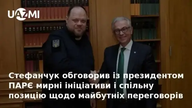Стефанчук обговорив із президентом ПАРЄ мирні ініціативи і спільну позицію щодо майбутніх переговорів.