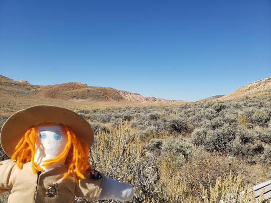 Ranger Sarah looks at the red outcrops in the hills which are from the Wasatch Formation. The formation contains fossils of early mammals, reptiles, and plants, as well as invertebrate and plant fossils, but this a few in numbers and tend to be fragmented.
— at Fossil Butte National Monument.