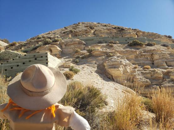 Ranger Sarah looks up at the historic quarry. When Animals and plants died here and sank to the lake bottom they were quickly covered by a microbial mat and layers of limestone sediment, which prevented decomposition and scavenging.
— at Fossil Butte National Monument.