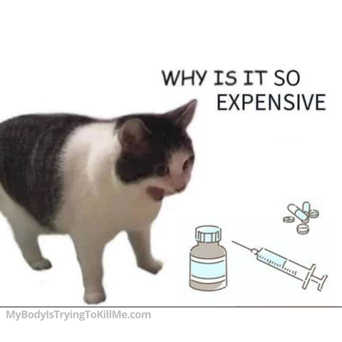 cat screaming at medical stuff 'why is it so expensive?'   - mybodyistryingtokillme.com
