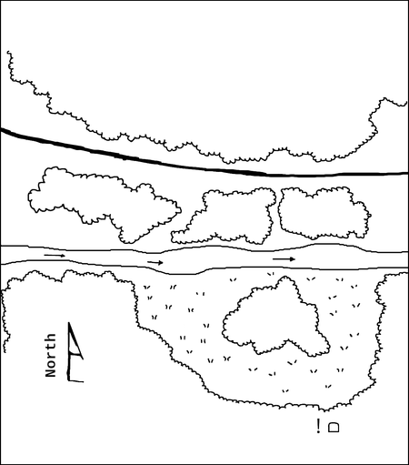 This is a region map that I have have made for the adventure. There is a road running through a forest beside a stream. There is  a marsh beside the stream and an exclamation mark that indicates where the goblins base is.

There is a compass point pointed up with the word "North" written on it.
