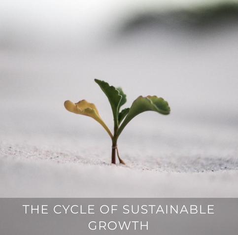 THE CYCLE OF SUSTAINABLE GROWTH