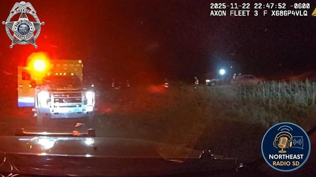 Night scene with ambulance, red lights flashing. Rural road, grassy field. Emblem reads "HAMLIN COUNTY SHERIFF'S OFFICE." Mood: urgent.