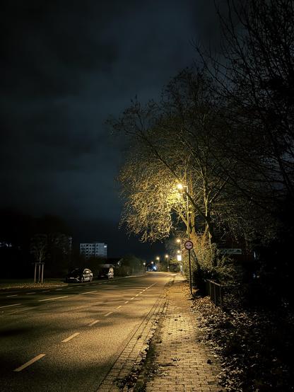 Leere Straße bei Nacht mit von Laternen beleuchteten Bäumen, Gehweg und geparkten Autos