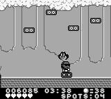 Cover image of Spot: The Cool Adventure