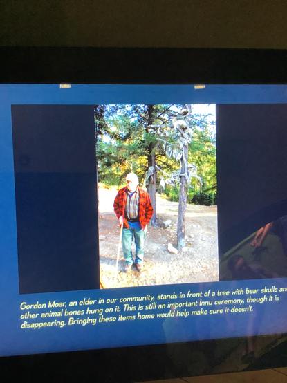 Gordon Moar, an elder in our community, stands in front other animal bones hung on it. This is still an important #Innu ceremony, though i is disappearing. Bringing these items home would help make sure it doesn't‎'‎ .