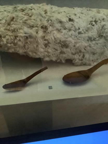 Gordon Moar, an elder in our community, stands in front other animal bones hung on it. This is still an important #Innu ceremony, though i is disappearing. Bringing these items home would help make sure it doesn't‎'‎ .