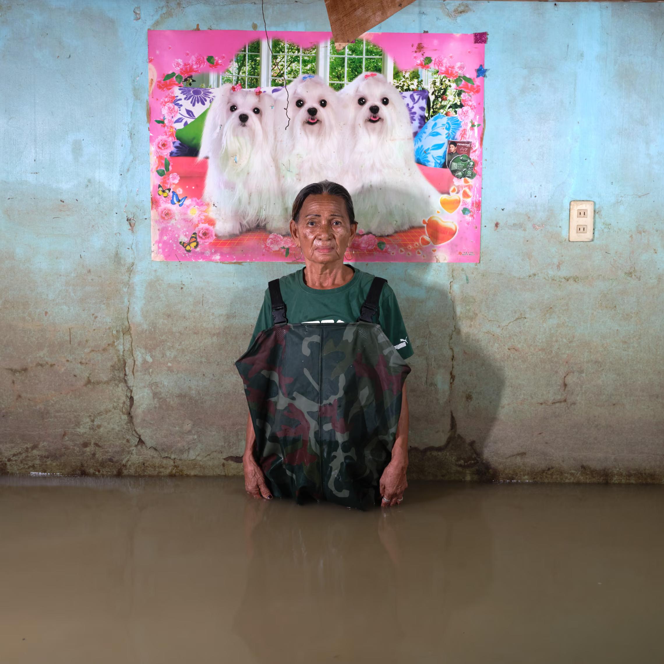 A woman standing in water inside her house, with a big pink poster of 3 white dogs (Shitzu?) behind her.
"Now, it’s just like that, the water is always strong. I hope the leaders, like those corruption cases that were reported, don’t ignore the needs of the people."