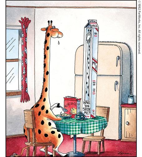 Open Milk Flex MILK 
Have you seen me? 
Acacia-Os