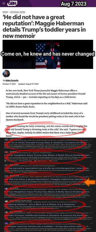 “He did not have a great reputation in the neighborhood as a kid,” Haberman said on GBH’s Boston Public Radio.

One of several accounts from Trump’s early childhood included the story of a mother who found the would-be president pelting rocks at her son’s crib in her Queens backyard.

“She starts hearing the baby screaming, and she comes outside and a roughly five year-old Donald Trump is throwing rocks at the crib,” she said. “I guess you can allow that, maybe, initially he didn’t realize that there was a baby there, I don’t know.”
