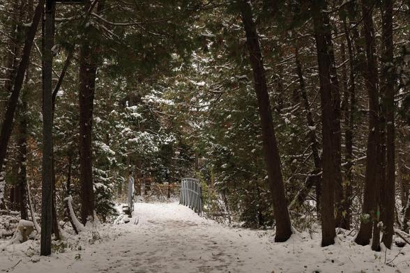 This is a landscape format photo of an accessible hiking trail that passes through a forested area. A bit more than a dusting of snow is on the ground, and also on the branches of the mostly coniferous trees in this area. The trail is about six feet wide with fresh footsteps in the snow visible on the trail's surface.  The trail passes over a footbridge, with metal railings, before turning to the right. An early look of winter, while autumn still prevails. 