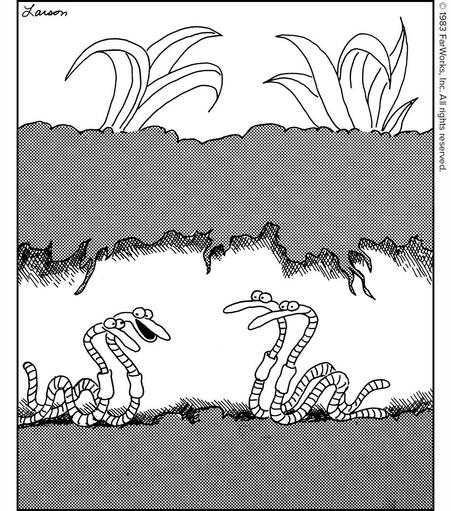 “Sally, this is Larry and his brother, Eddie. ... Larry used to be an only child until the gardener hacked him in half.”