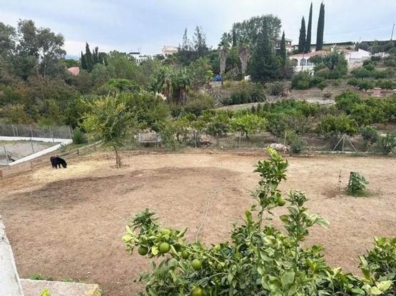 Country house with the possibility to keep horses